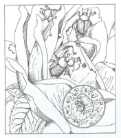 A coloring page of nature in the backyard